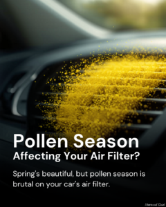 Pollen Season Affecting Your Air Filter? 30 Xwv65Ga1Yw47Ar1Hyuyrfst5L5Zagvttmxjfwsse