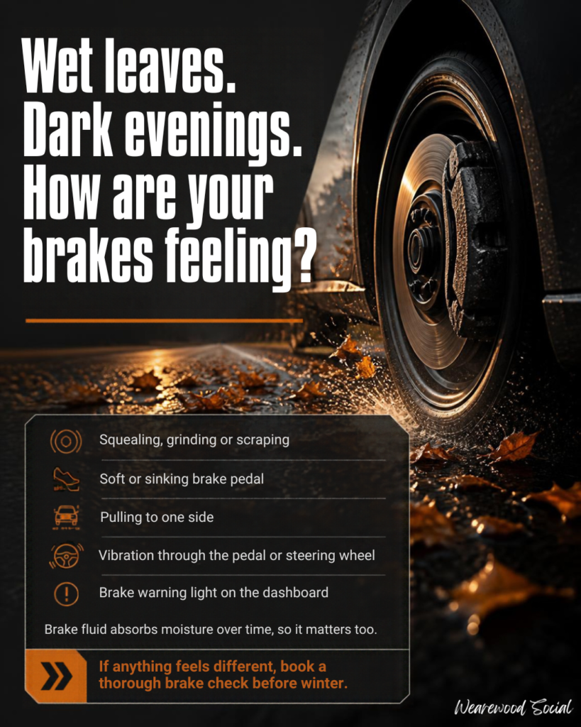 Wet Leaves &Amp;Amp; Dark Evenings 1 Autumn Brake Safety Instagram Graphic